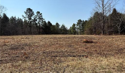 Photo #8 of Lake Farm, Yanceyville, NC 11.3 acres