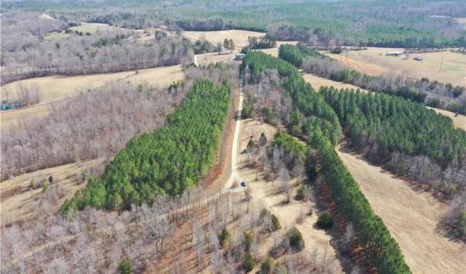 Photo #6 of Lake Farm, Yanceyville, NC 11.3 acres