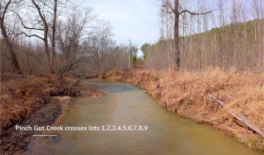 Photo #20 of 3361 NC Highway 66, Westfield, NC 28.8 acres