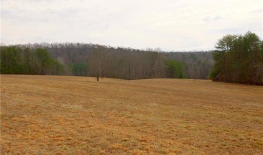 Photo #2 of 3361 NC Highway 66, Westfield, NC 30.5 acres