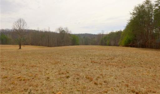 Photo #12 of 3361 NC Highway 66, Westfield, NC 30.5 acres