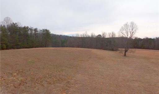 Photo #6 of 3361 NC Highway 66, Westfield, NC 32.4 acres