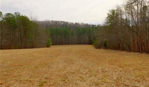 Photo #13 of 3361 NC Highway 66, Westfield, NC 32.4 acres