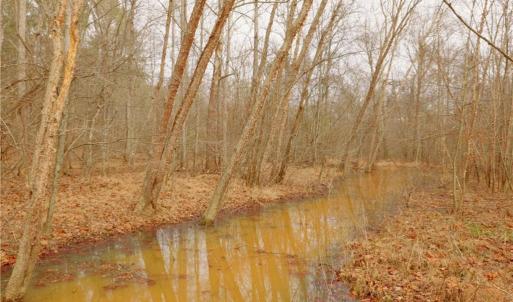 Photo #16 of 3361 NC Highway 66, Westfield, NC 32.4 acres