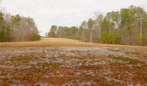 Photo #15 of 3361 NC Highway 66, Westfield, NC 32.4 acres