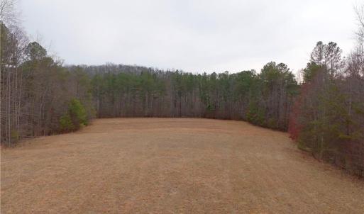 Photo #8 of 3361 NC Highway 66, Westfield, NC 32.4 acres