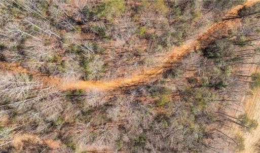 Photo #13 of NC Highway 89, Danbury, NC 22.2 acres