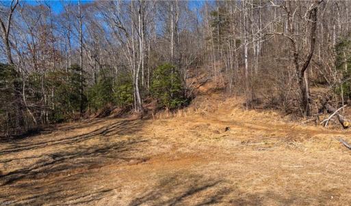 Photo #16 of NC Highway 89, Danbury, NC 22.2 acres