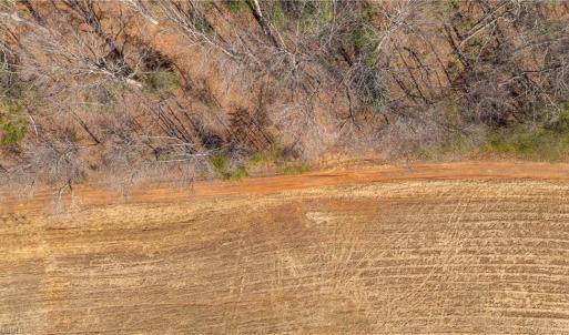 Photo #14 of NC Highway 89, Danbury, NC 22.2 acres