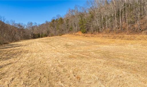 Photo #15 of NC Highway 89, Danbury, NC 22.2 acres