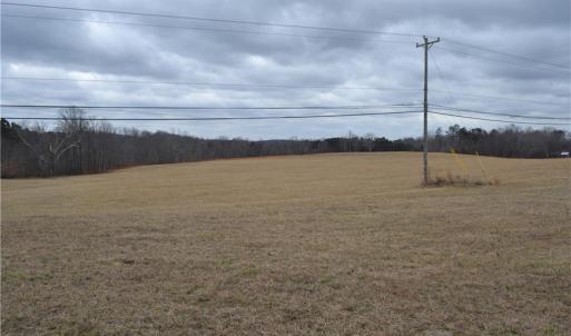 Photo #5 of 41 Acres NC Highway 770, Stoneville, NC 41.0 acres