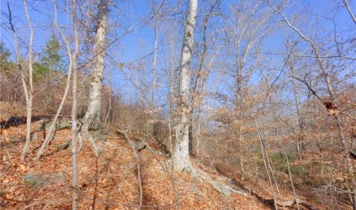 Photo #13 of 6 Roby Fulk, Pinnacle, NC 10.1 acres