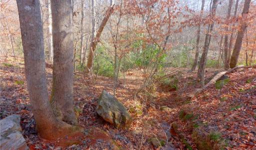 Photo #12 of 6 Roby Fulk, Pinnacle, NC 10.1 acres