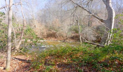 Photo #10 of 6 Roby Fulk, Pinnacle, NC 10.1 acres