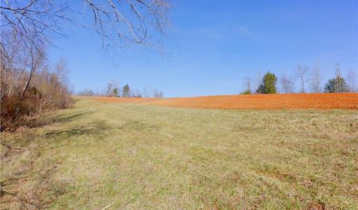 Photo #11 of 6 Roby Fulk, Pinnacle, NC 10.1 acres