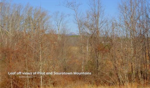 Photo #12 of 5 Roby Fulk, Pinnacle, NC 10.1 acres