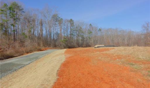Photo #4 of 5 Roby Fulk, Pinnacle, NC 10.1 acres