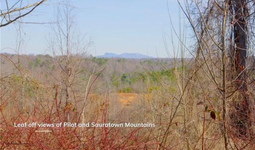 Photo #10 of 5 Roby Fulk, Pinnacle, NC 10.1 acres