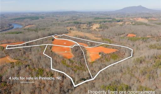 Photo #15 of 5 Roby Fulk, Pinnacle, NC 10.1 acres