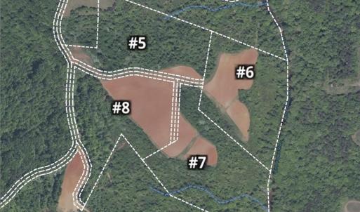 Photo #25 of 5 Roby Fulk, Pinnacle, NC 10.1 acres