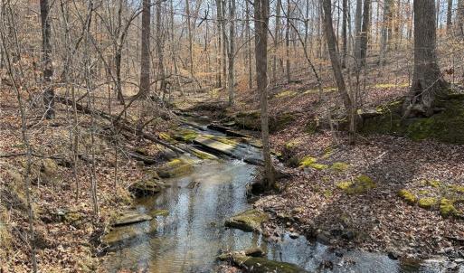 Photo #2 of 1200 Purcell, Reidsville, NC 64.9 acres