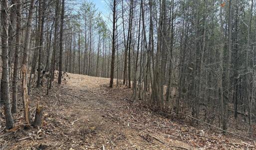 Photo #17 of 1200 Purcell, Reidsville, NC 64.9 acres