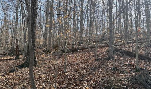 Photo #43 of 1200 Purcell, Reidsville, NC 64.9 acres