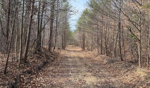 Photo #16 of 1200 Purcell, Reidsville, NC 64.9 acres