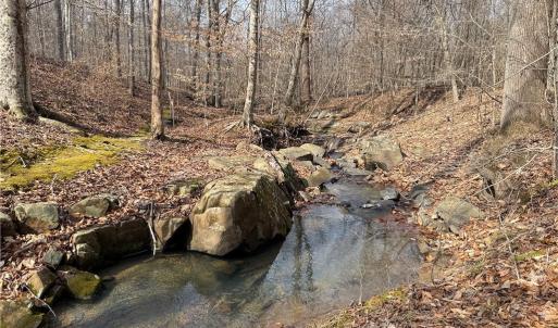 Photo #12 of 1200 Purcell, Reidsville, NC 64.9 acres