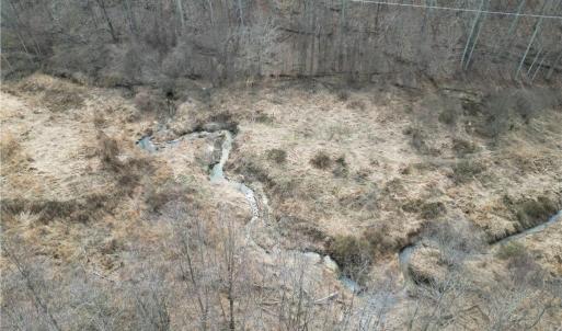 Photo #26 of 1200 Purcell, Reidsville, NC 64.9 acres