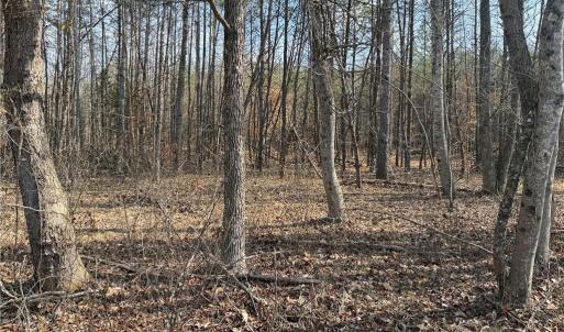 Photo #36 of 1200 Purcell, Reidsville, NC 64.9 acres
