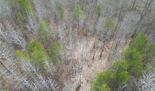 Photo #24 of 1200 Purcell, Reidsville, NC 64.9 acres