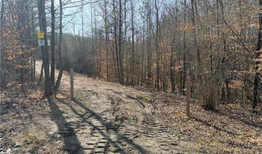 Photo #30 of 1200 Purcell, Reidsville, NC 64.9 acres