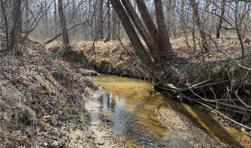 Photo #38 of 1200 Purcell, Reidsville, NC 64.9 acres