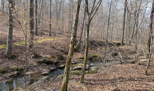 Photo #10 of 1200 Purcell, Reidsville, NC 64.9 acres