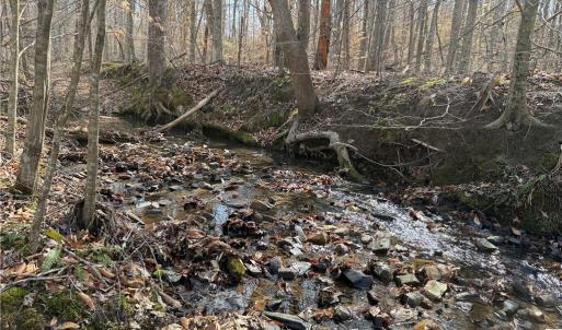 Photo #49 of 1200 Purcell, Reidsville, NC 64.9 acres