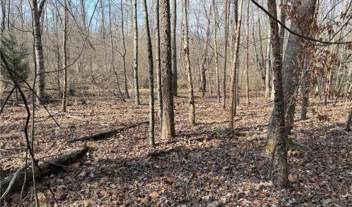 Photo #33 of 1200 Purcell, Reidsville, NC 64.9 acres