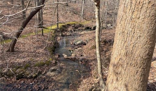 Photo #14 of 1200 Purcell, Reidsville, NC 64.9 acres