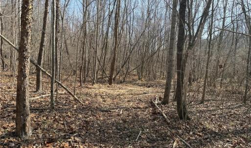 Photo #45 of 1200 Purcell, Reidsville, NC 64.9 acres