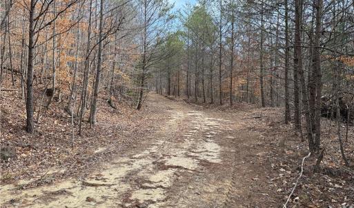 Photo #18 of 1200 Purcell, Reidsville, NC 64.9 acres