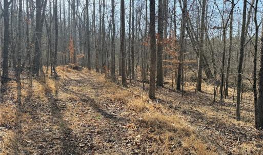 Photo #37 of 1200 Purcell, Reidsville, NC 64.9 acres