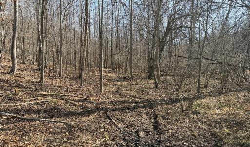 Photo #44 of 1200 Purcell, Reidsville, NC 64.9 acres