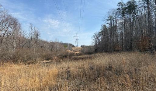 Photo #40 of 1200 Purcell, Reidsville, NC 64.9 acres