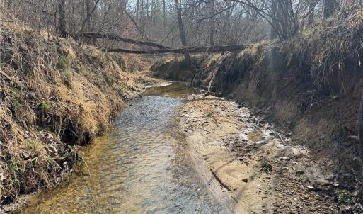 Photo #35 of 1200 Purcell, Reidsville, NC 64.9 acres