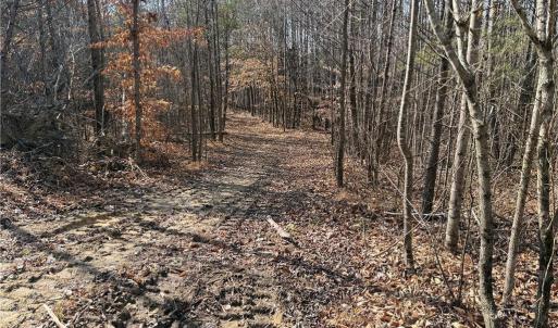 Photo #31 of 1200 Purcell, Reidsville, NC 64.9 acres
