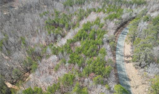 Photo #29 of 1200 Purcell, Reidsville, NC 64.9 acres