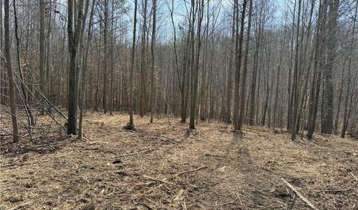 Photo #4 of 1200 Purcell, Reidsville, NC 64.9 acres