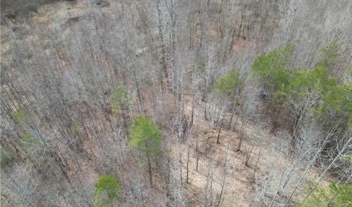 Photo #25 of 1200 Purcell, Reidsville, NC 64.9 acres