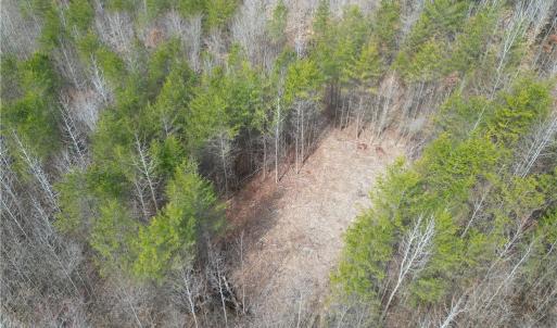 Photo #23 of 1200 Purcell, Reidsville, NC 64.9 acres