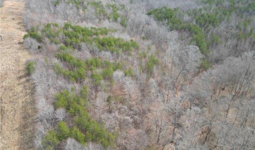 Photo #27 of 1200 Purcell, Reidsville, NC 64.9 acres